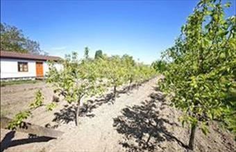 Eladó Szegedi egyéb mezőgazdasági ingatlan hirdetés (76863937)