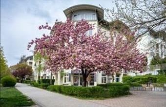 Eladó Budapest XI. kerületi tégla lakás hirdetés (35793984)