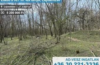 Eladó Lajosmizsei tanya hirdetés (75324342)