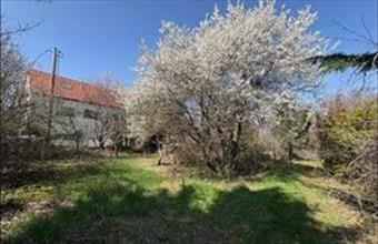 Eladó Budakalászi egyéb telek hirdetés (98672253)