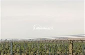 Eladó Soproni lakóövezeti telek hirdetés (27812629)