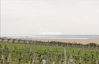 Eladó Soproni lakóövezeti telek hirdetés (31233325)