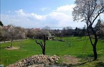 Eladó Paloznaki termőföld, szántó hirdetés (66191738)