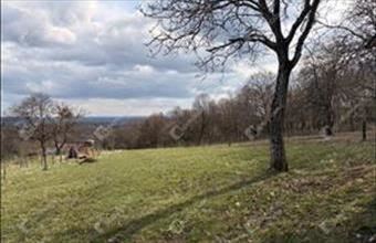 Eladó Gosztolai külterületi telek hirdetés (29355943)