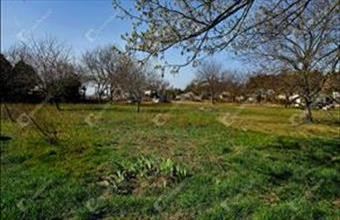 Eladó Szabadbattyáni lakóövezeti telek hirdetés (54397238)