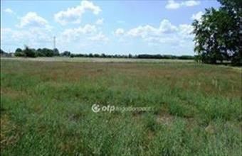 Eladó Pilisi fejlesztési lakóterület hirdetés (55275587)