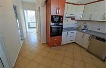 Kiadó Mohácsi panel lakás hirdetés (34749732)