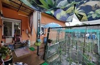 Eladó Vecsési családi ház hirdetés (24473963)