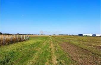 Eladó Jászberényi külterületi telek hirdetés (93499253)