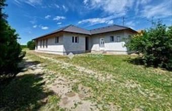 Eladó Szentmártonkátai családi ház hirdetés (25593387)