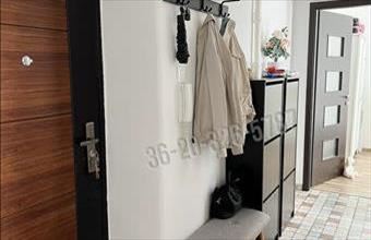 Kiadó Budapest XI. kerületi tégla lakás hirdetés (12393451)