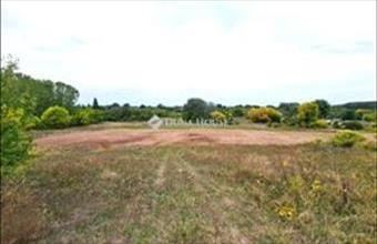 Eladó Tápiószecsői egyéb telek hirdetés (22472414)