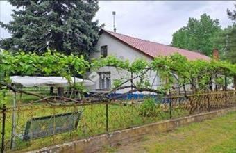 Eladó Jászberényi tanya hirdetés (54419515)