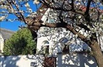 Eladó Budapest XVIII. kerületi családi ház hirdetés (73233795)