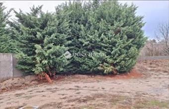 Eladó Budapest XVI. kerületi lakóövezeti telek hirdetés (45452727)