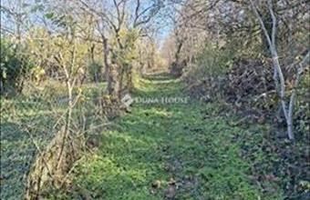Eladó Budapest XVII. kerületi külterületi telek hirdetés (24494242)