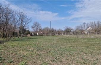 Eladó Ceglédi egyéb mezőgazdasági ingatlan hirdetés (79832345)