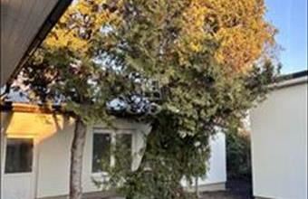 Eladó Budapest XXII. kerületi családi ház hirdetés (59284443)