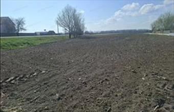 Eladó Taksonyi lakóövezeti telek hirdetés (15981593)