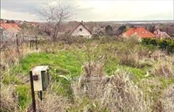 Eladó Sukorói lakóövezeti telek hirdetés (86558743)