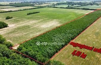 Eladó Magyargencsi egyéb mezőgazdasági ingatlan hirdetés (43197496)