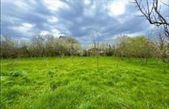 Eladó Tiszaújvárosi családi ház hirdetés (22125593)