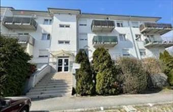 Eladó Veszprémi tégla lakás hirdetés (81324376)