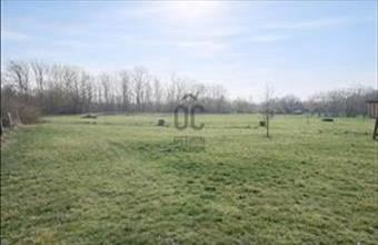 Eladó Sárszentmihályi lakóövezeti telek hirdetés (34577298)