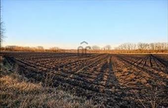 Eladó Újfehértói külterületi telek hirdetés (15853748)