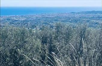 Eladó Spanyolországi üdülő hirdetés (72859732)