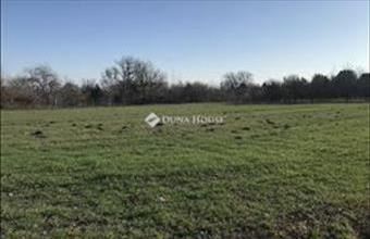 Eladó Polgárdi lakóövezeti telek hirdetés (77499437)