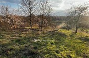 Eladó Martonvásári egyéb telek hirdetés (35832696)