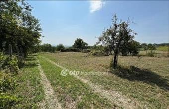 Eladó Töki külterületi telek hirdetés (35646433)