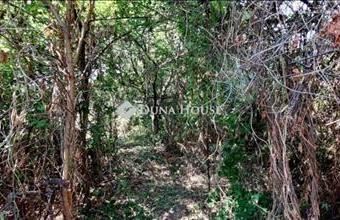 Eladó Péceli családi ház hirdetés (42429695)