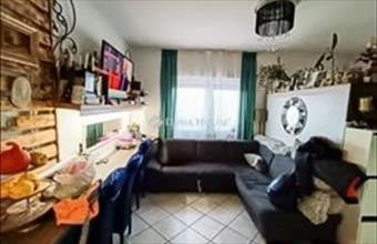 Eladó Dányi családi ház hirdetés (73434312)