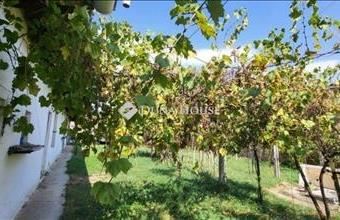 Eladó Szendehelyi családi ház hirdetés (42363676)