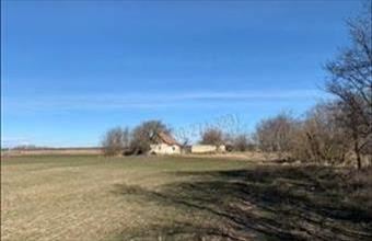 Eladó Kiskunfélegyházai tanya hirdetés (74949645)