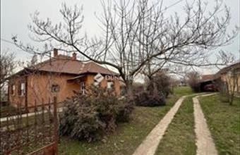 Eladó Mezőberényi családi ház hirdetés (39838833)