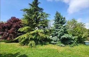 Eladó Úrhidai családi ház hirdetés (53288766)