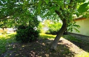 Eladó Nagykátai családi ház hirdetés (45438537)