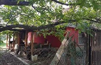 Eladó Albertirsai tanya hirdetés (39339843)