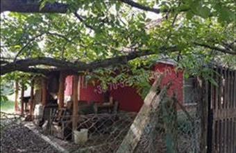 Eladó Albertirsai tanya hirdetés (39339843)