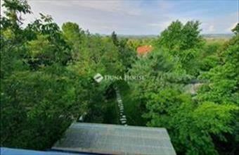 Eladó Veresegyházi családi ház hirdetés (48637358)