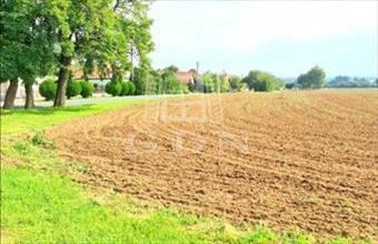 Eladó Balatonkeresztúri lakóövezeti telek hirdetés (48774834)