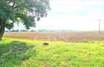 Eladó Balatonkeresztúri lakóövezeti telek hirdetés (48774834)