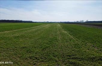 Eladó Vasadi termőföld, szántó hirdetés (34253996)