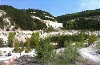 Eladó Gyenesdiási termőföld, szántó hirdetés (71928593)