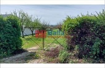 Eladó Siófoki egyéb telek hirdetés (44537373)