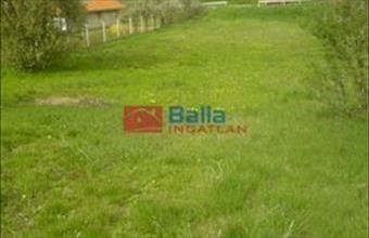 Eladó Valkói egyéb telek hirdetés (83332471)