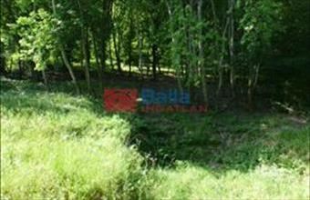 Eladó Visegrádi egyéb telek hirdetés (99734753)